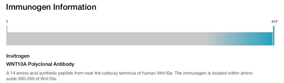 WNT10A Polyclonal Antibody