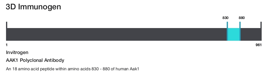 AAK1 Polyclonal Antibody