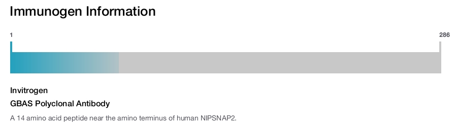 GBAS Polyclonal Antibody