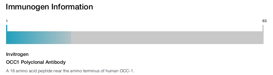 OCC1 Polyclonal Antibody