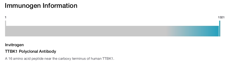 TTBK1 Polyclonal Antibody