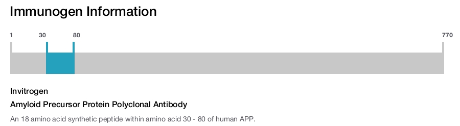 Amyloid Precursor Protein Polyclonal Antibody