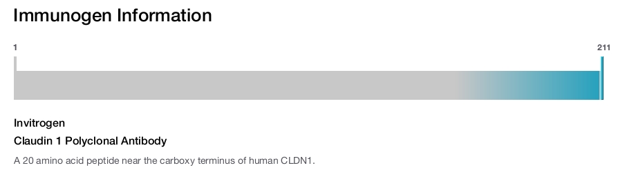 Claudin 1 Polyclonal Antibody