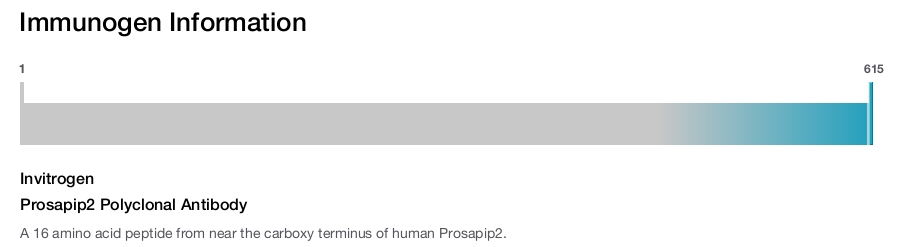 Prosapip2 Polyclonal Antibody