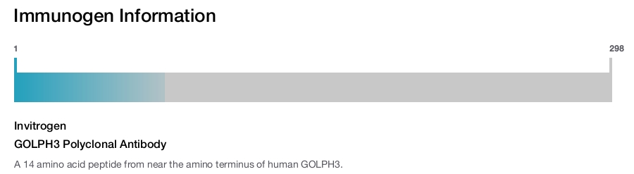GOLPH3 Polyclonal Antibody