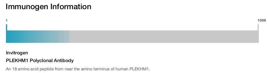 PLEKHM1 Polyclonal Antibody
