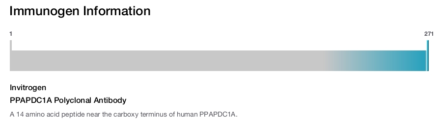 PPAPDC1A Polyclonal Antibody