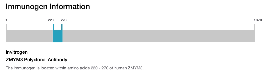 ZMYM3 Polyclonal Antibody