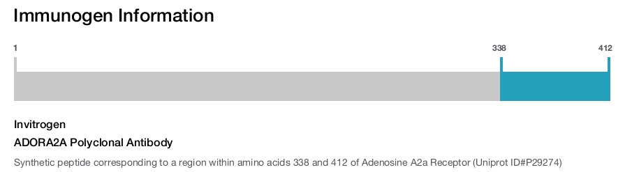 ADORA2A Polyclonal Antibody