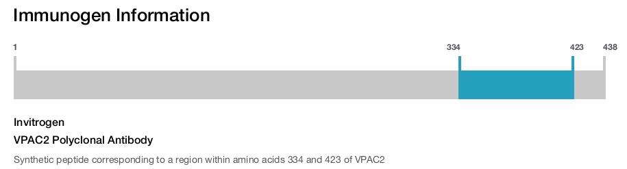VPAC2 Polyclonal Antibody