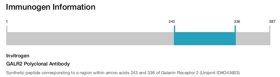GALR2 Polyclonal Antibody