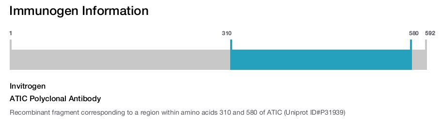 ATIC Polyclonal Antibody