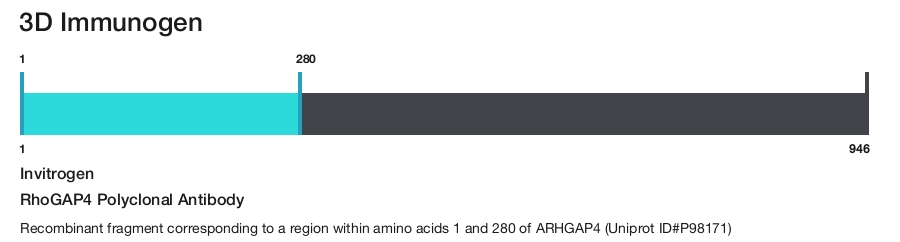 RhoGAP4 Polyclonal Antibody