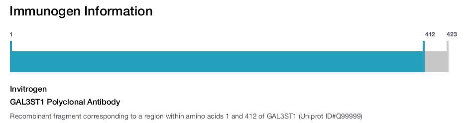 GAL3ST1 Polyclonal Antibody