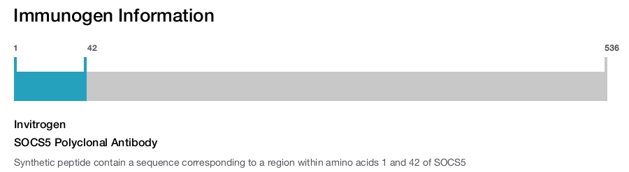 SOCS5 Polyclonal Antibody
