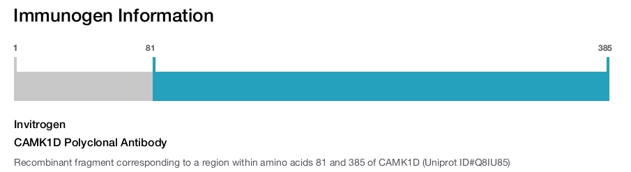 CAMK1D Polyclonal Antibody