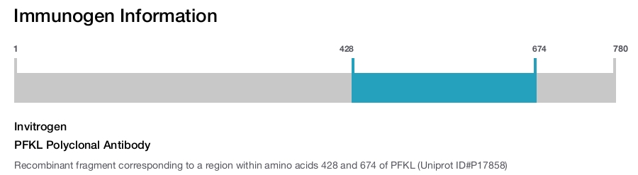 PFKL Polyclonal Antibody