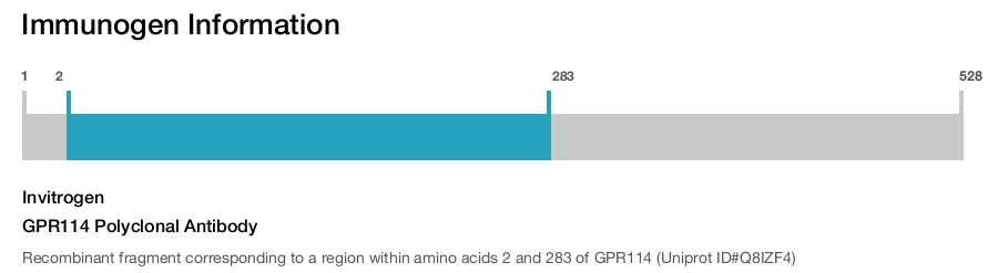 GPR114 Polyclonal Antibody