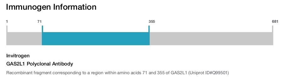 GAS2L1 Polyclonal Antibody