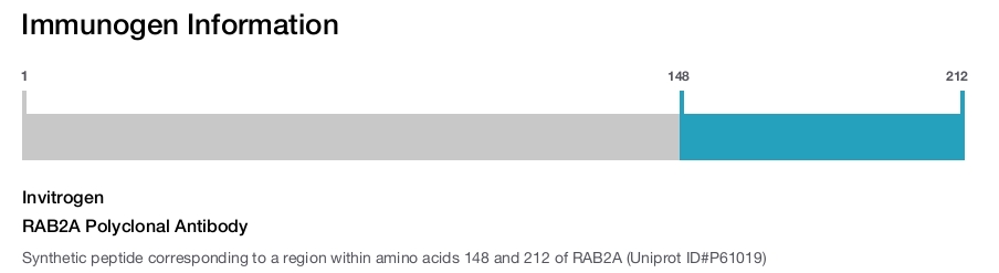 RAB2A Polyclonal Antibody