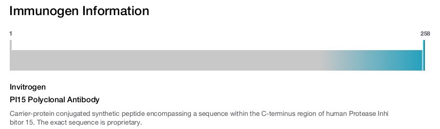 PI15 Polyclonal Antibody