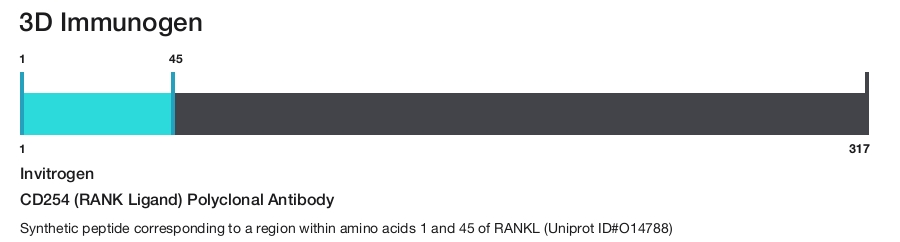 CD254 (RANK Ligand) Polyclonal Antibody