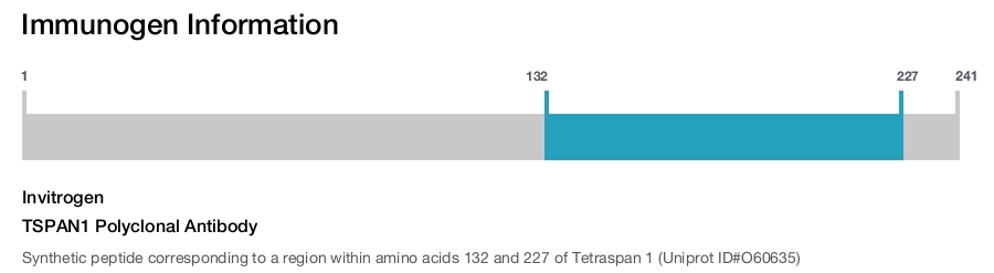 TSPAN1 Polyclonal Antibody