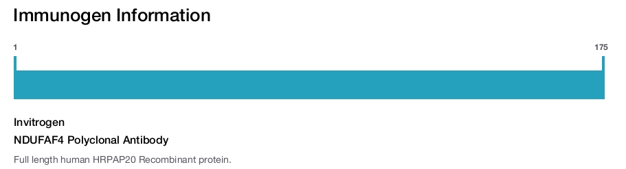 NDUFAF4 Polyclonal Antibody