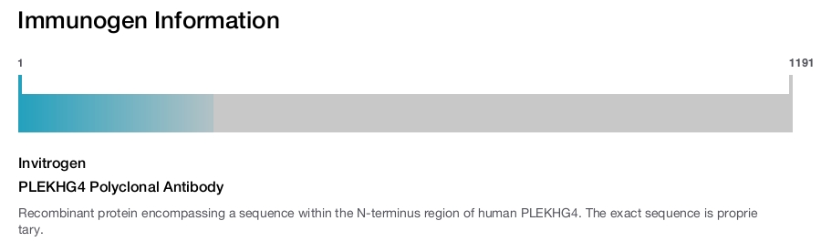 PLEKHG4 Polyclonal Antibody