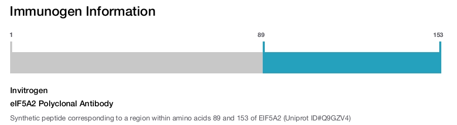 eIF5A2 Polyclonal Antibody
