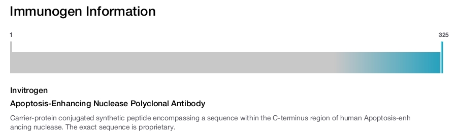 Apoptosis-Enhancing Nuclease Polyclonal Antibody