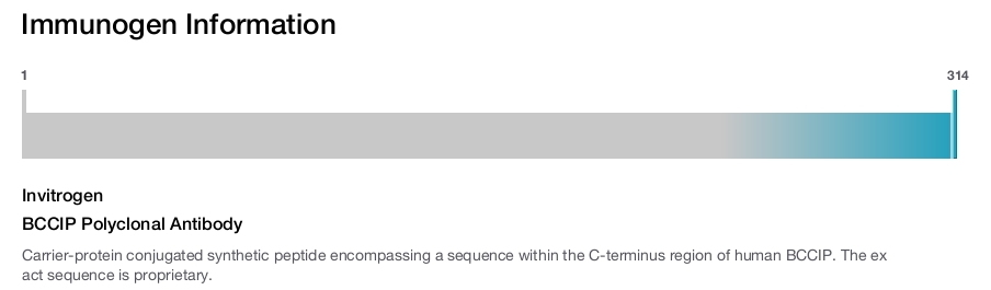 BCCIP Polyclonal Antibody