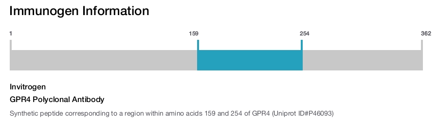 GPR4 Polyclonal Antibody