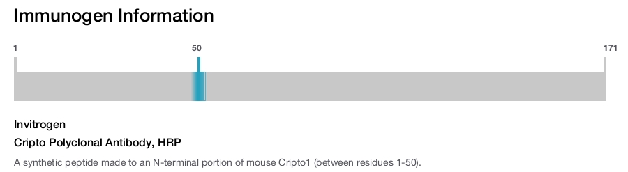 Cripto Polyclonal Antibody, HRP