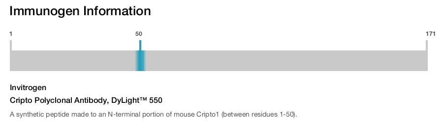 Cripto Polyclonal Antibody, DyLight™ 550