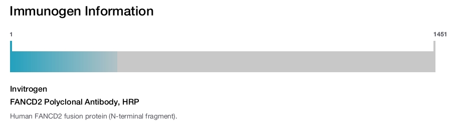 FANCD2 Polyclonal Antibody, HRP