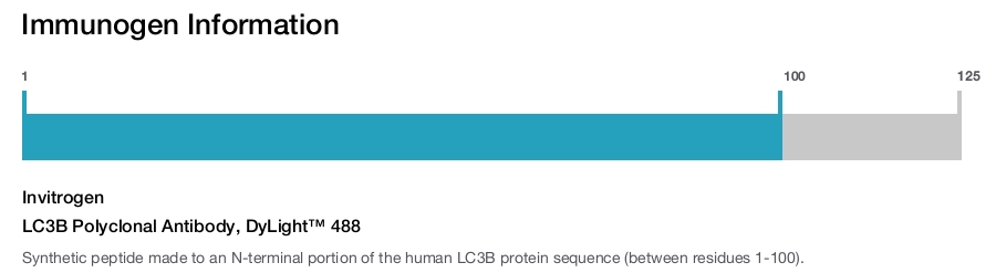 LC3B Polyclonal Antibody, DyLight&trade; 488