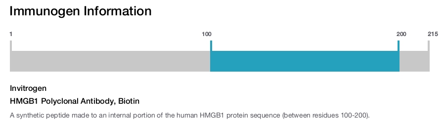 HMGB1 Polyclonal Antibody, Biotin
