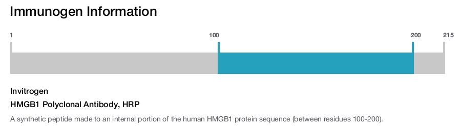 HMGB1 Polyclonal Antibody, HRP