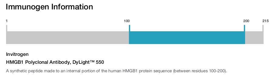 HMGB1 Polyclonal Antibody, DyLight™ 550