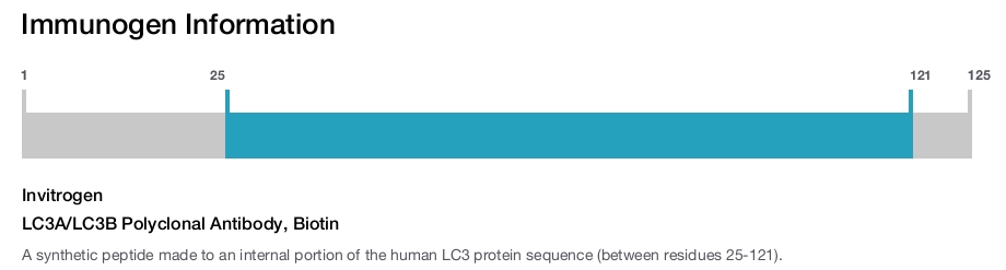 LC3A/LC3B Polyclonal Antibody, Biotin