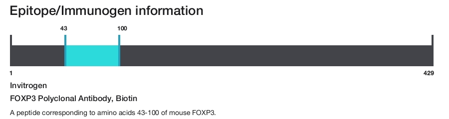 FOXP3 Polyclonal Antibody, Biotin