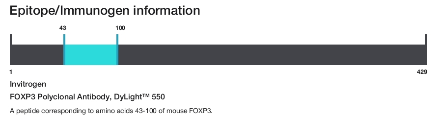 FOXP3 Polyclonal Antibody, DyLight&trade; 550