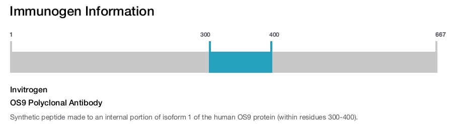 OS9 Polyclonal Antibody