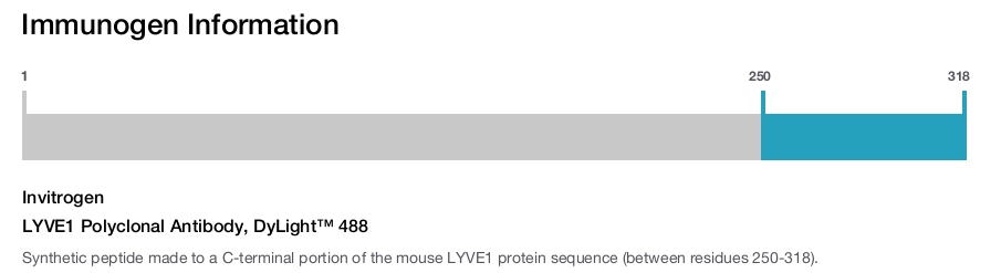 LYVE1 Polyclonal Antibody, DyLight™ 488