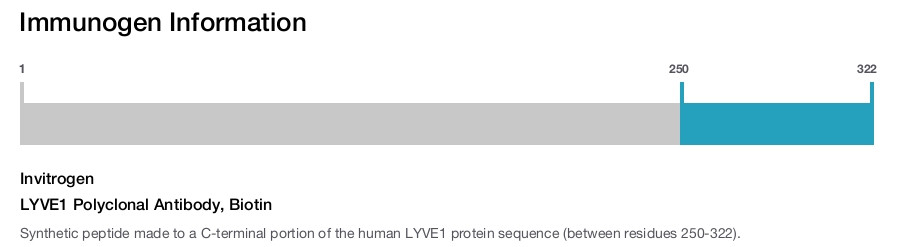 LYVE1 Polyclonal Antibody, Biotin