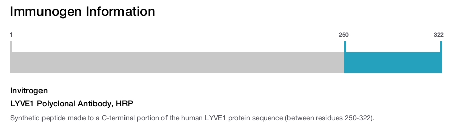 LYVE1 Polyclonal Antibody, HRP