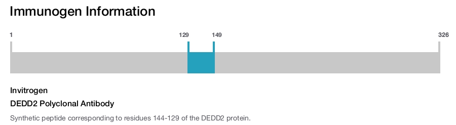 DEDD2 Polyclonal Antibody