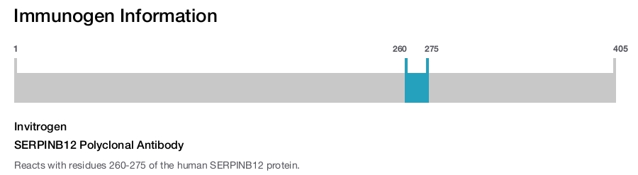 SERPINB12 Polyclonal Antibody