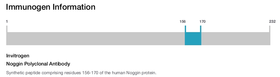 Noggin Polyclonal Antibody